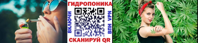 Виды наркотиков купить Тавда СОЛЬ  Галлюциногенные грибы  МЕТАМФЕТАМИН  Кокаин  Каннабис  Амфетамин 