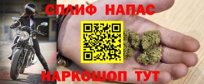 индика Славянск-на-Кубани