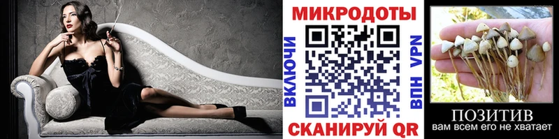 Галлюциногенные грибы мухоморы  MEGA ONION  Тавда 